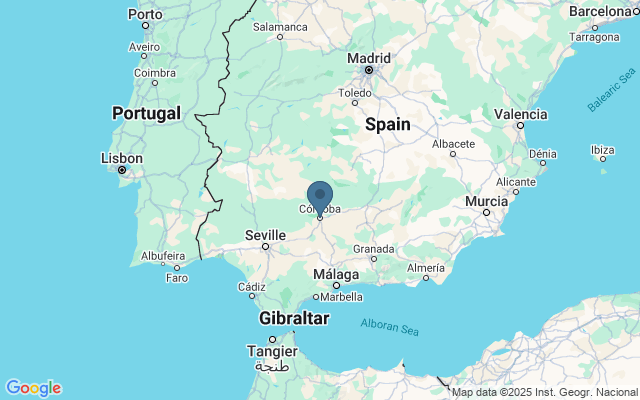 Kaart met locatie Alcazar de los Reyes Católicos